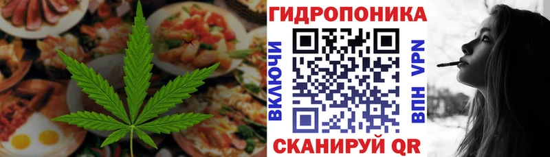 mega   Валдай  Canna-Cookies конопля 