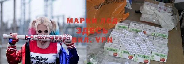 трава Аркадак