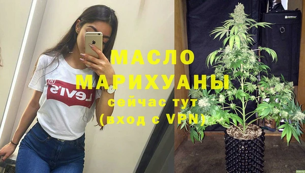 стаф Бородино