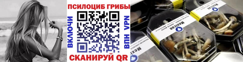 кракен как зайти  как найти   Валдай  Галлюциногенные грибы ЛСД 